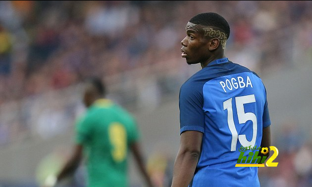 Paul Pogba tips 'young and hungry' France squad for Euro 2016 glory _ Daily Mail Online