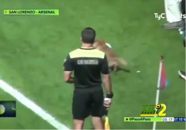 فيديو: كلب يخطف الأضواء بشدة بالملاعب الأرجنتينية