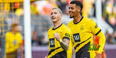 دورتموند يعبر فولفسبورج بلدغة رويس