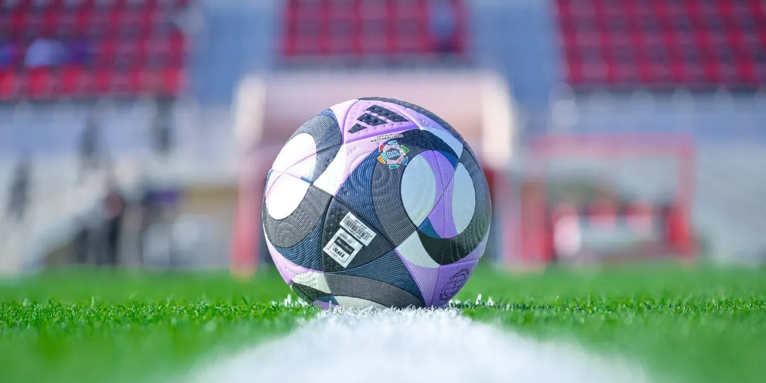 شروط استقدام حكم أجنبي في مباريات دوري روشن وكأس الملك