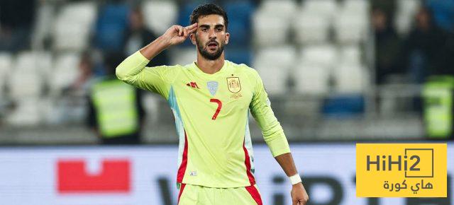 رسميًا – توريس يحقق حلمه مع منتخب إسبانيا